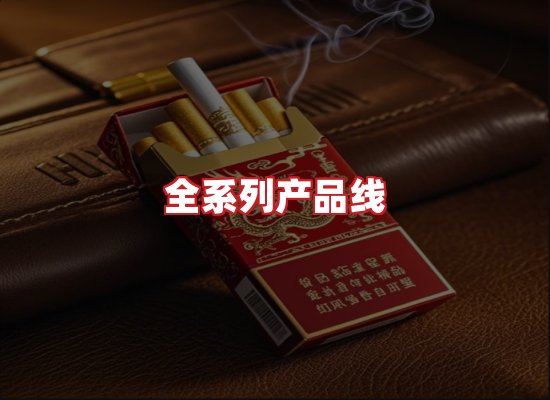 专业团队